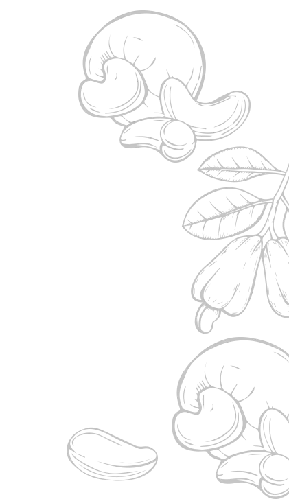 CSR Background